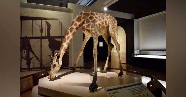 東京国立博物館の「国宝89件」すべて見られる展覧会、見逃せない名品とは？　150年の歴史で初「国宝 東京国立博物館のすべて」が12/11まで開催