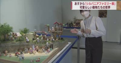 シルバニアファミリー展 大図鑑 本 パンフレット 篠原ともえ 美品 シルバニアファミリー展 大図鑑 本 パンフレット 篠原ともえ 美