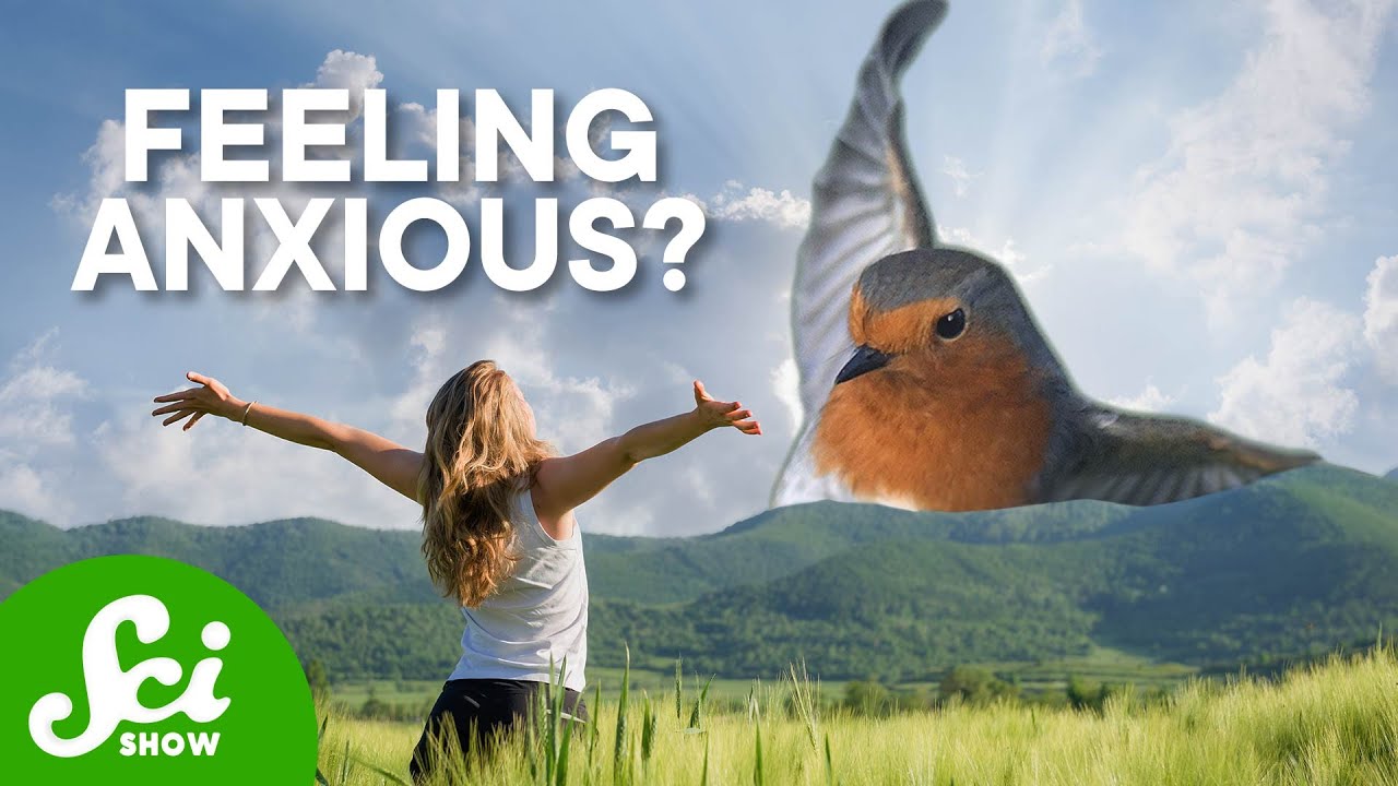 鳥のさえずりは人のネガティブな感情を緩和させる　トラウマ記憶を弱める可能性も秘める、「音」と「記憶」の研究