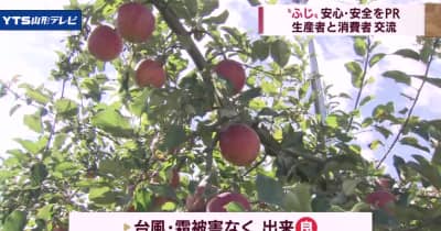収穫間近の「ふじりんご」PR 朝日町