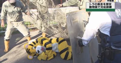 「トラが脱走」想定し捕獲訓練　宇都宮動物園