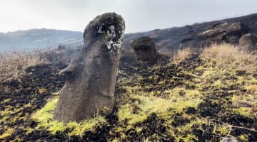 山火事でモアイ像177体に被害　イースター島、ユネスコが視察