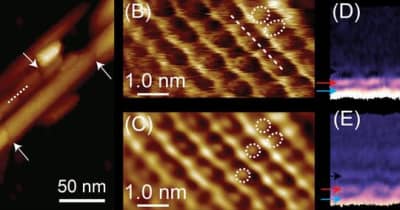 金沢大学ナノ生命科学研究所研究 国際共同研究: セルロースナノ結晶の原子レベルの欠陥構造を発見