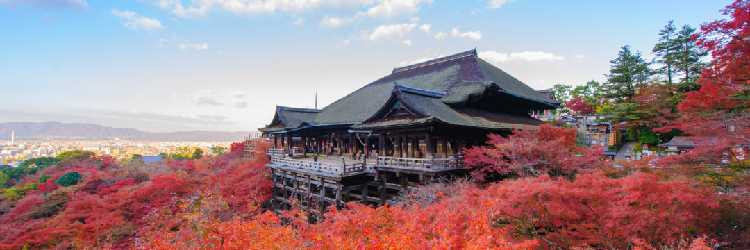 「京都旅行がボケ防止になる」驚きの理由脳が若返る旅行法をご存じですか