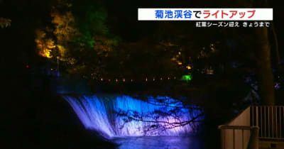 紅葉シーズン到来　熊本の名所　菊池渓谷ライトアップ