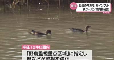 宮崎県内今季初　日向市で野鳥からＡ型鳥インフルエンザの陽性反応