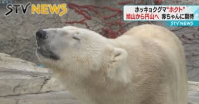 【ホクトがきた】繁殖のため円山動物園に　今月中に一般公開へ