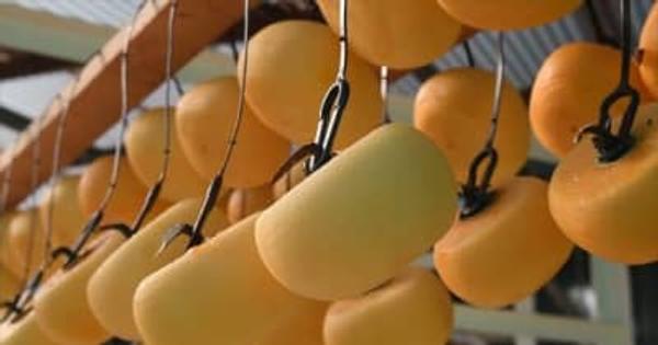 今年は豊作　特産のあんぽ柿作りが最盛期迎える　山梨県南アルプス市