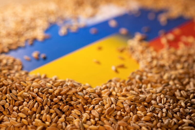 ロシア、米欧が輸出妨害と不満　黒海穀物合意延長巡り