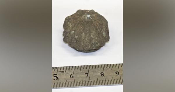 奈良時代の分銅「権」発見、佐賀　吉野ケ里遺跡の発掘調査で出土