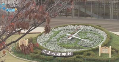 神戸の花時計「神戸マラソン」の大会記念ロゴに絵柄を植え替え