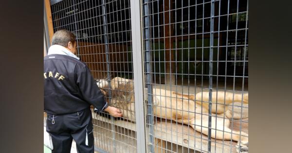 行き場失った動物たちを保護大内山動物園が拡大を続ける理由　減らぬ不幸な動物を救い続け【杉本彩のEva通信】
