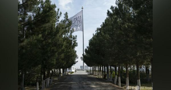 タリバン、14人にむち打ち刑 最高指導者が執行指示 アフガン