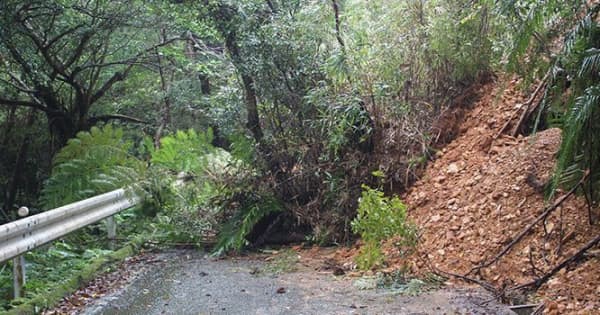東村の林道で土砂崩れ、生活路が通行止めに　「オーシッタイ」結ぶ道　沖縄