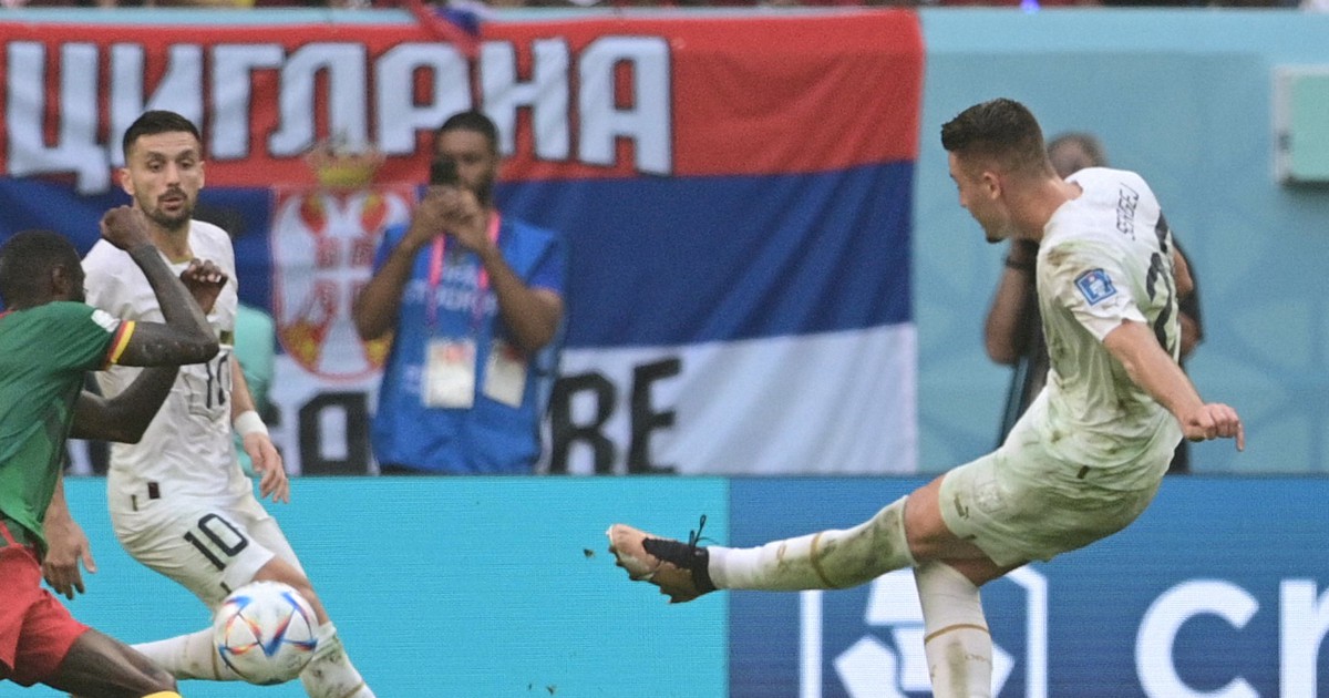 セルビアとカメルーンは引き分け　3-3　サッカーW杯