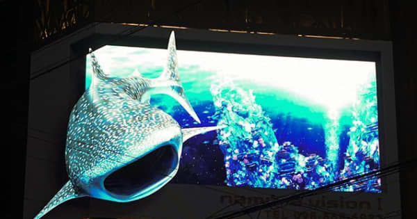 ジンベエザメが大画面から飛び出す！　沖縄で初の3D街頭ビジョン、12月から開始