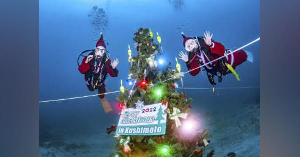 18mの海底にクリスマスツリー　和歌山・串本町沖、本州最南端
