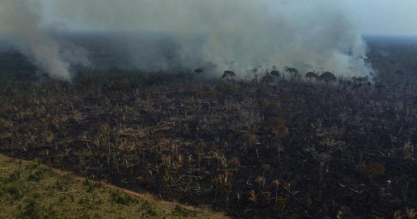 アマゾン、4年連続で1万平方km消失　ブラジルで急速な森林破壊