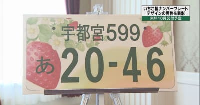観賞用　栃木　ナンバープレート 観賞用ご当地ナンバープレート宇都宮とちぎのいちご1枚