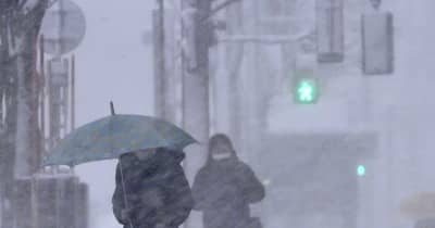青森県内　各地で真冬日、吹雪　16日も大荒れ