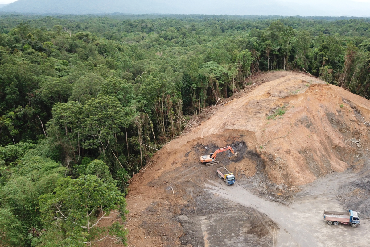 EU、森林破壊に関わる輸入品を禁止へ　法案に合意　企業にデューディリジェンス求める