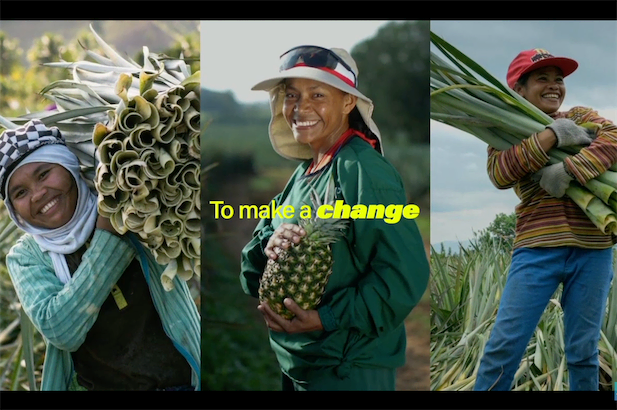 「ドール」が開発　パイナップル由来のレザーが、環境と農家を救う