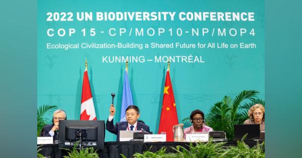 国連の生物多様性会議、30年までの自然保護目標で合意