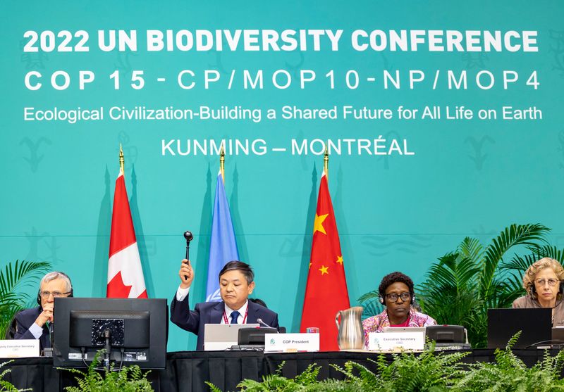 国連の生物多様性会議、30年までの自然保護目標で合意