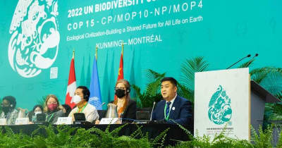 Yili Groupが国連の生物多様性条約会議で生物多様性保全の取り組みを発表