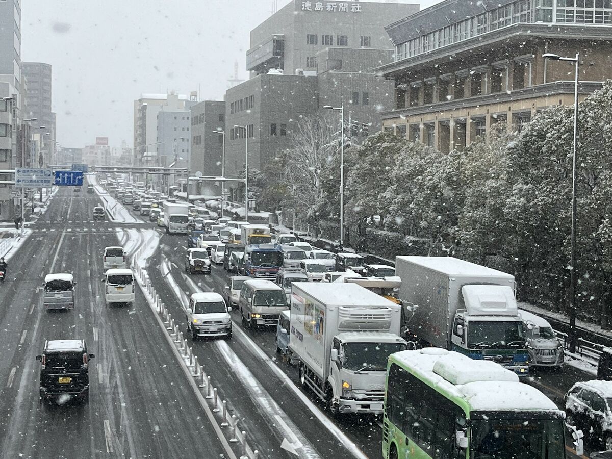県内各地で雪、徳島市バスの全路線で運転見合わせ【道路、交通機関への影響まとめ：12:30更新】