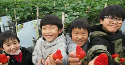 真っ赤なイチゴ味わって　竹田市の観光農園が営業開始【大分県】