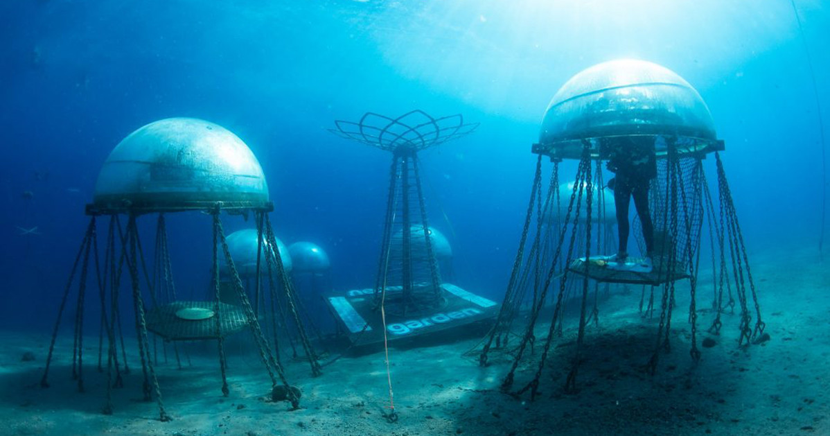 イタリアで進む海底農業プロジェクト「Nemo's Garden」とは？