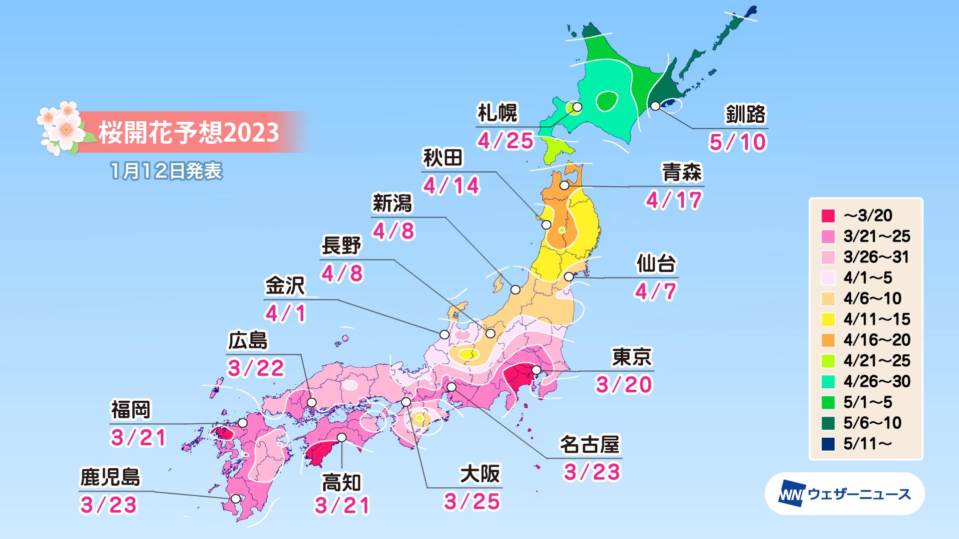 ウェザーニューズ、「第一回桜開花予想」発表　3月20日に東京から開花スタート、広範囲で平年並かやや早い予想