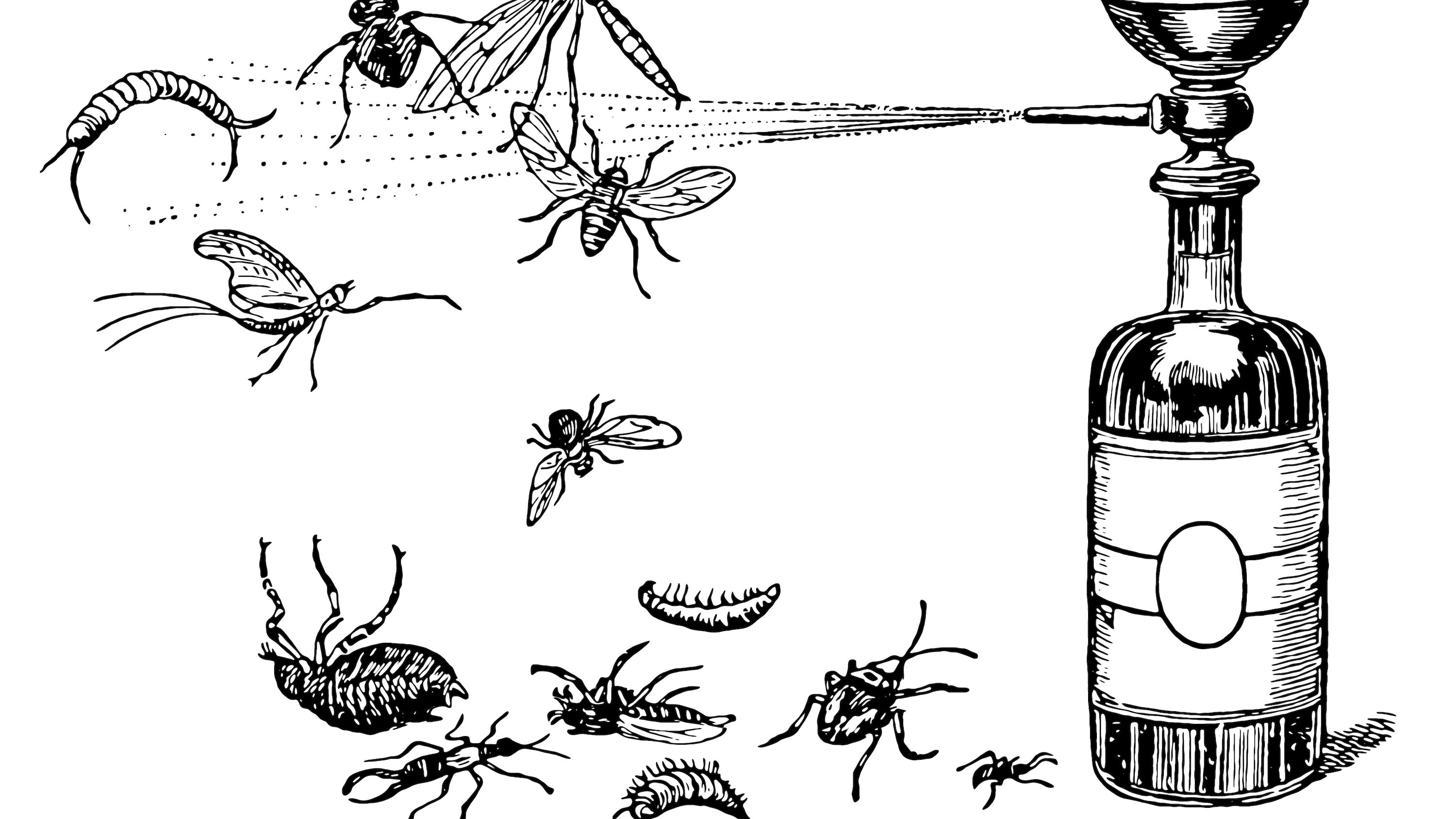 殺虫剤で無惨に殺される昆虫たちの「痛み」を法的に認めるべきだ | 最新研究から判明した証拠