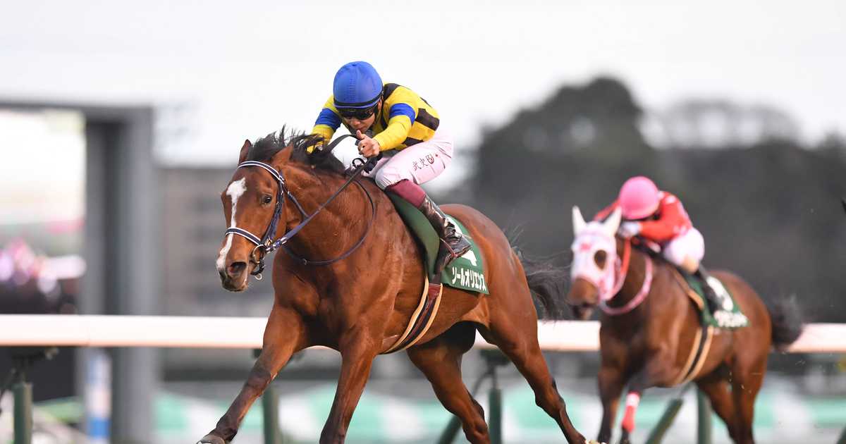 【中古】 井崎脩五郎の競馬探偵/コーエーテクモゲームス/井崎脩五郎 中古】 井崎脩五郎の競馬探偵/コーエーテクモゲームス/井崎