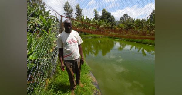 アングル：干ばつ深刻化のケニア、農家は「魚の養殖」に活路