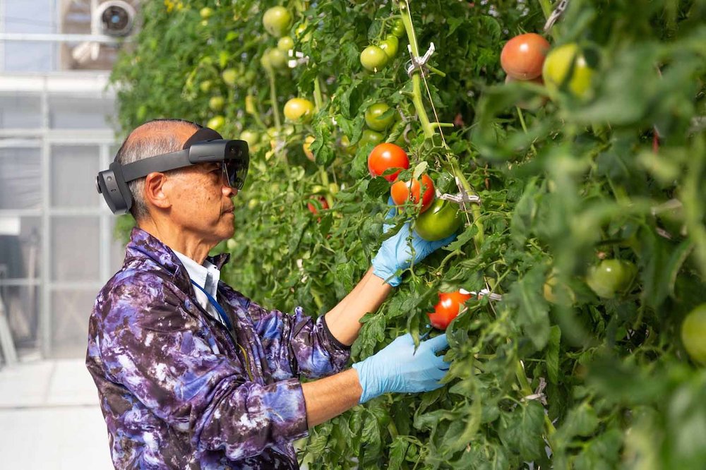 「東京型スマート農業」に世界から視察　5Gで未経験者を育成