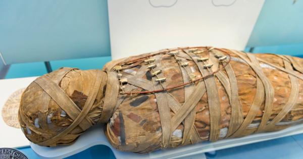 ミイラと呼ぶのをやめます。イギリスの博物館で名称変更の動き。古代エジプト人の「人間らしさを傷つける」