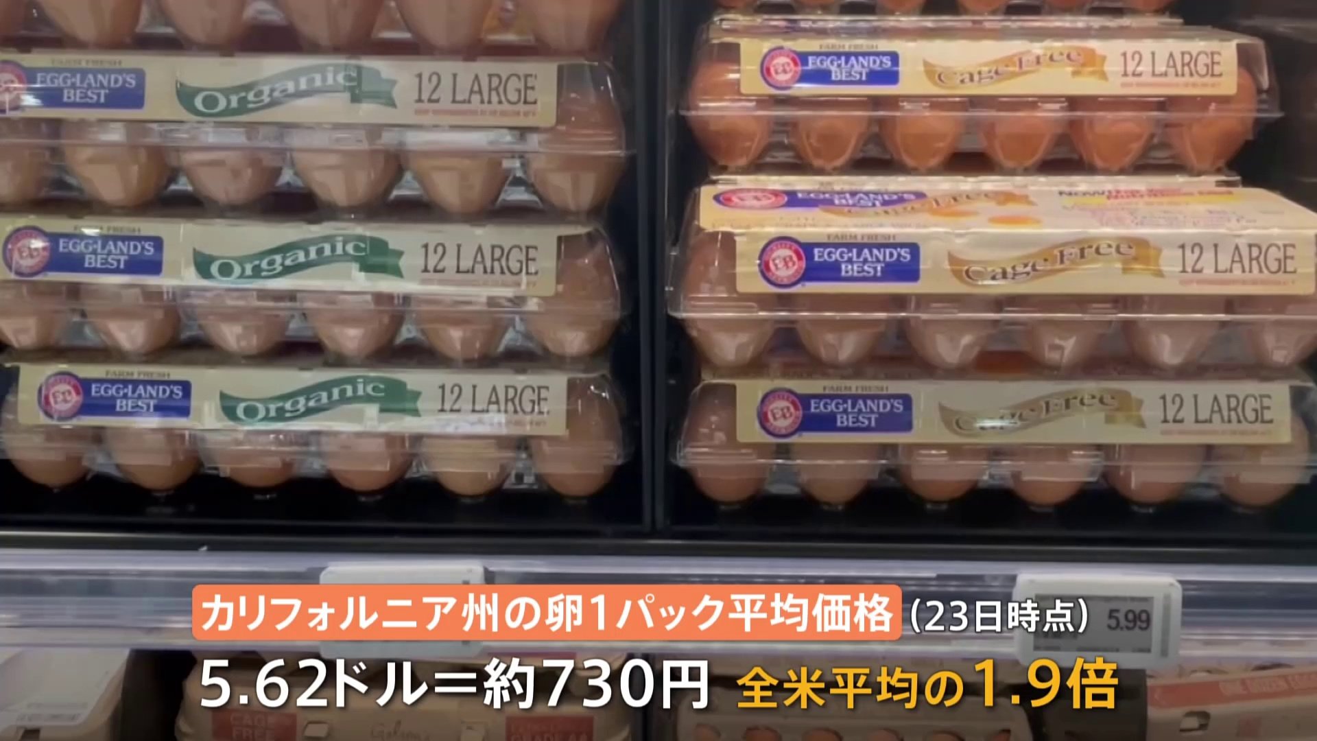 アメリカでも「卵」高騰　1パック730円“エッグフレーション”の現場は