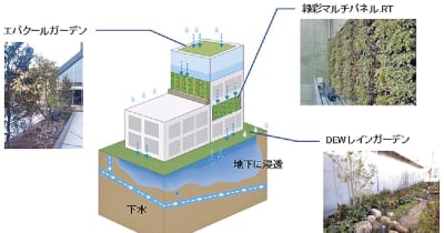鹿島／生物多様性に貢献するソリューション提供、建物緑化技術を最大限活用