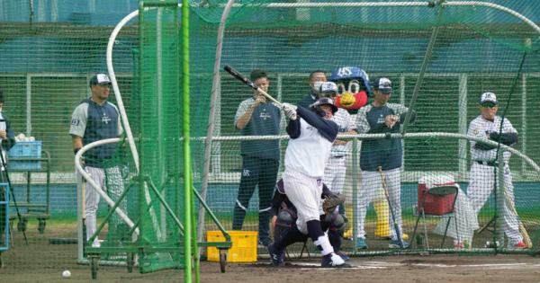 ヤクルト村上、キャンプ初日から柵越え連発　ＷＢＣに照準「いろいろ試したい」