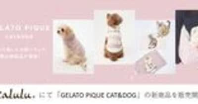 “ジェラート ピケ”で愛するペットとお揃いウェア！Caluluにて「GELATO PIQUE CAT&DOG」の新商品を販売開始！