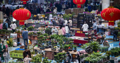 活気あふれるアジア最大の切り花取引市場　雲南省