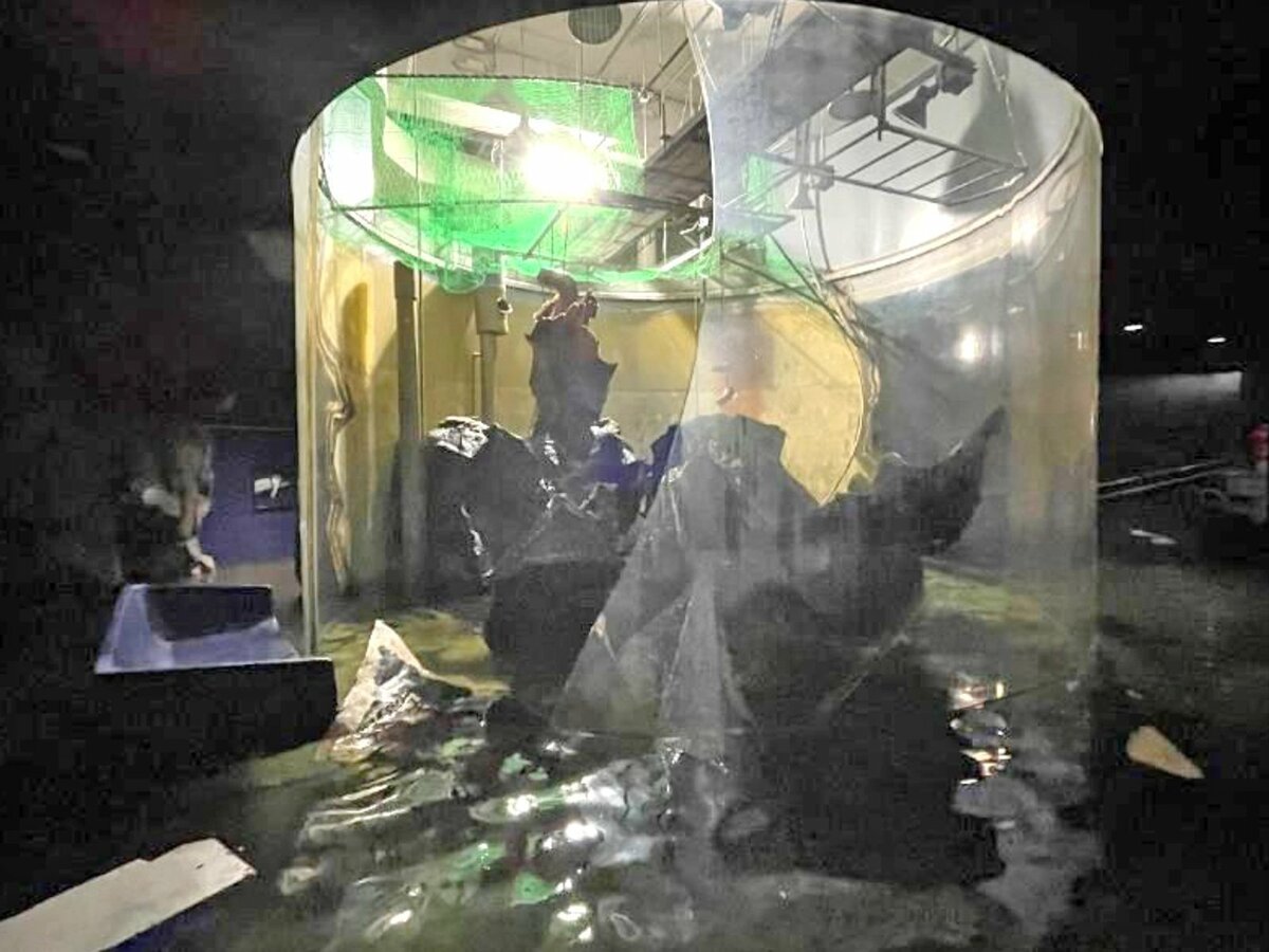 琵琶湖博物館、ビワコオオナマズの大型水槽が破損　擦り傷あるが命に別条なし