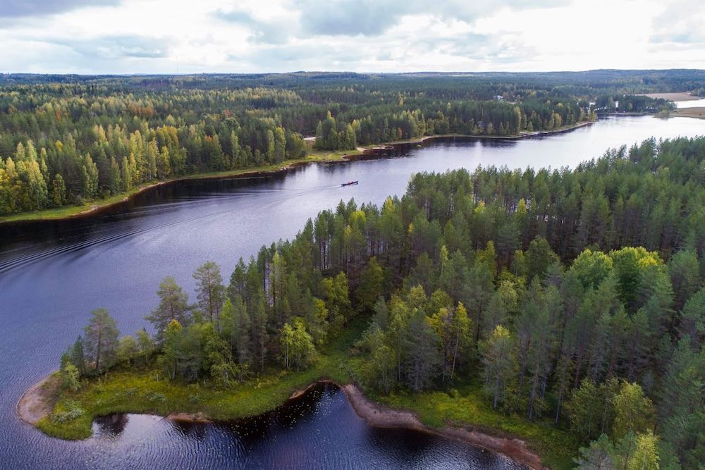 フィンランドで注目の「食べる森」エコシステム　女性起業家が守り人に