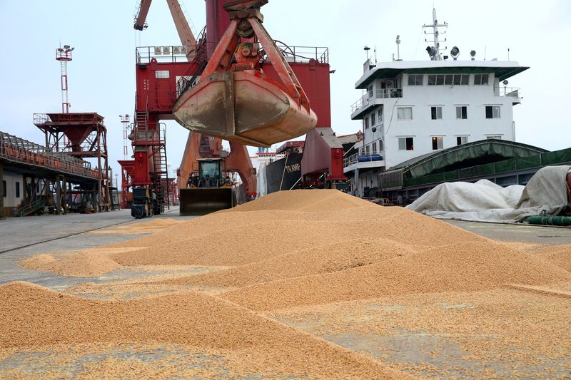 中国、大豆生産拡大などの青写真　食糧自給強化へ
