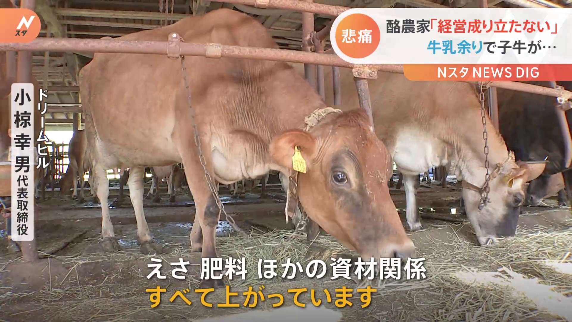「経営全く成り立たない」酪農家が悲痛な訴え　牛乳余りで値上げもできず北海道では生乳廃棄も