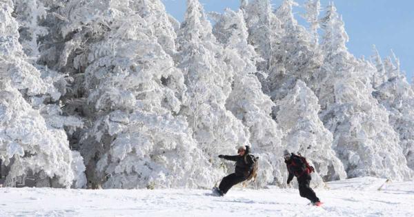 【味・旅・遊】白の世界に居並ぶ「雪の怪物」　福島・箕輪山の樹氷ツアー