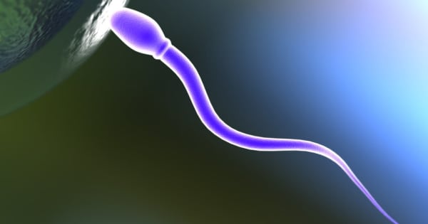 男性用の経口避妊薬に期待　実験で精子の泳ぎ一時停止