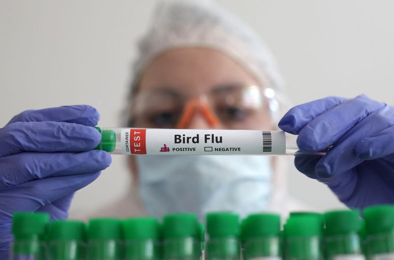 情報ＢＯＸ：鳥インフルエンザ、ヒトと動物にとってのリスクは